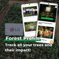 Gift Us a Forest – 200 Trees to Celebrate Our Love – “We Are Love Birds”