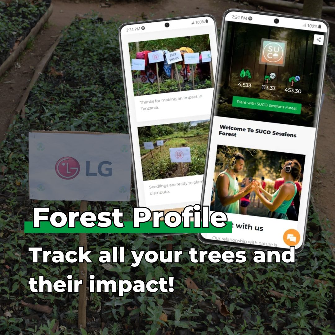 Gift Us a Forest – 200 Trees to Celebrate Our Love – “We Are Love Birds”