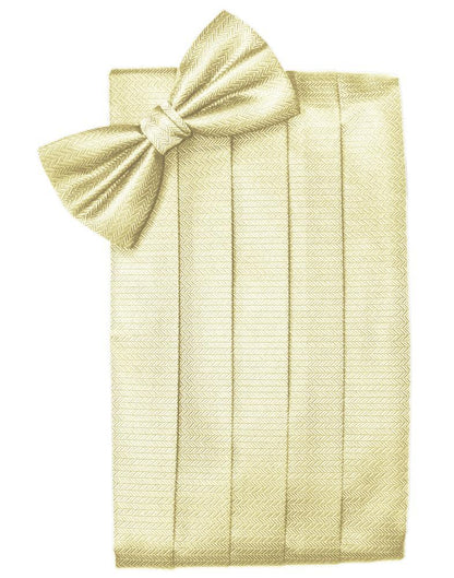 Set Herringbone Cummerbund & Bow Tie-4