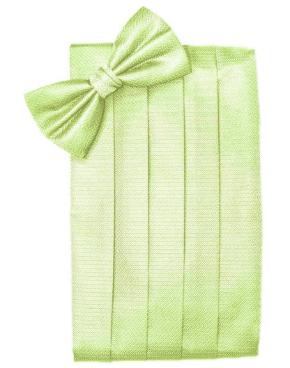Set Herringbone Cummerbund & Bow Tie-23