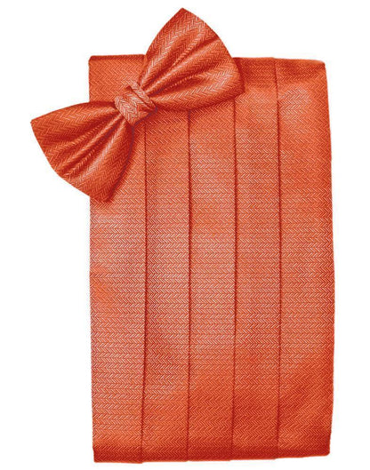 Set Herringbone Cummerbund & Bow Tie-45