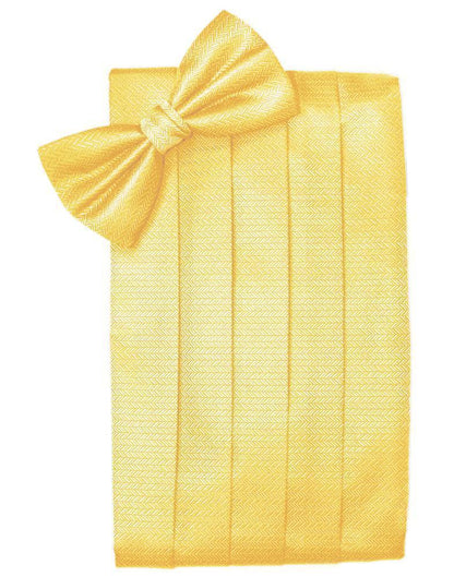 Set Herringbone Cummerbund & Bow Tie-52