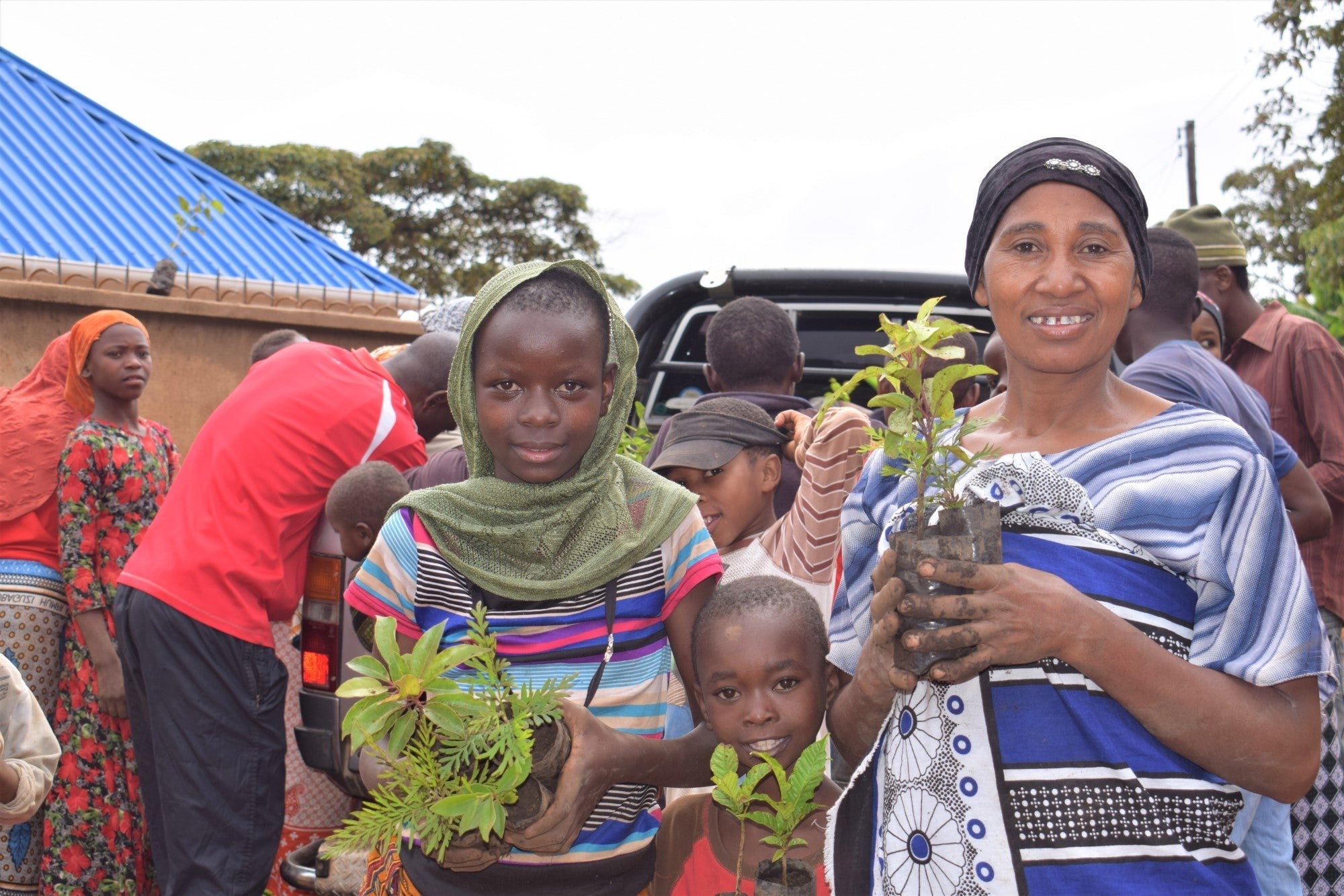You Plant We Plant Pack of 3 Tree Kits, We Plant 30 More Trees