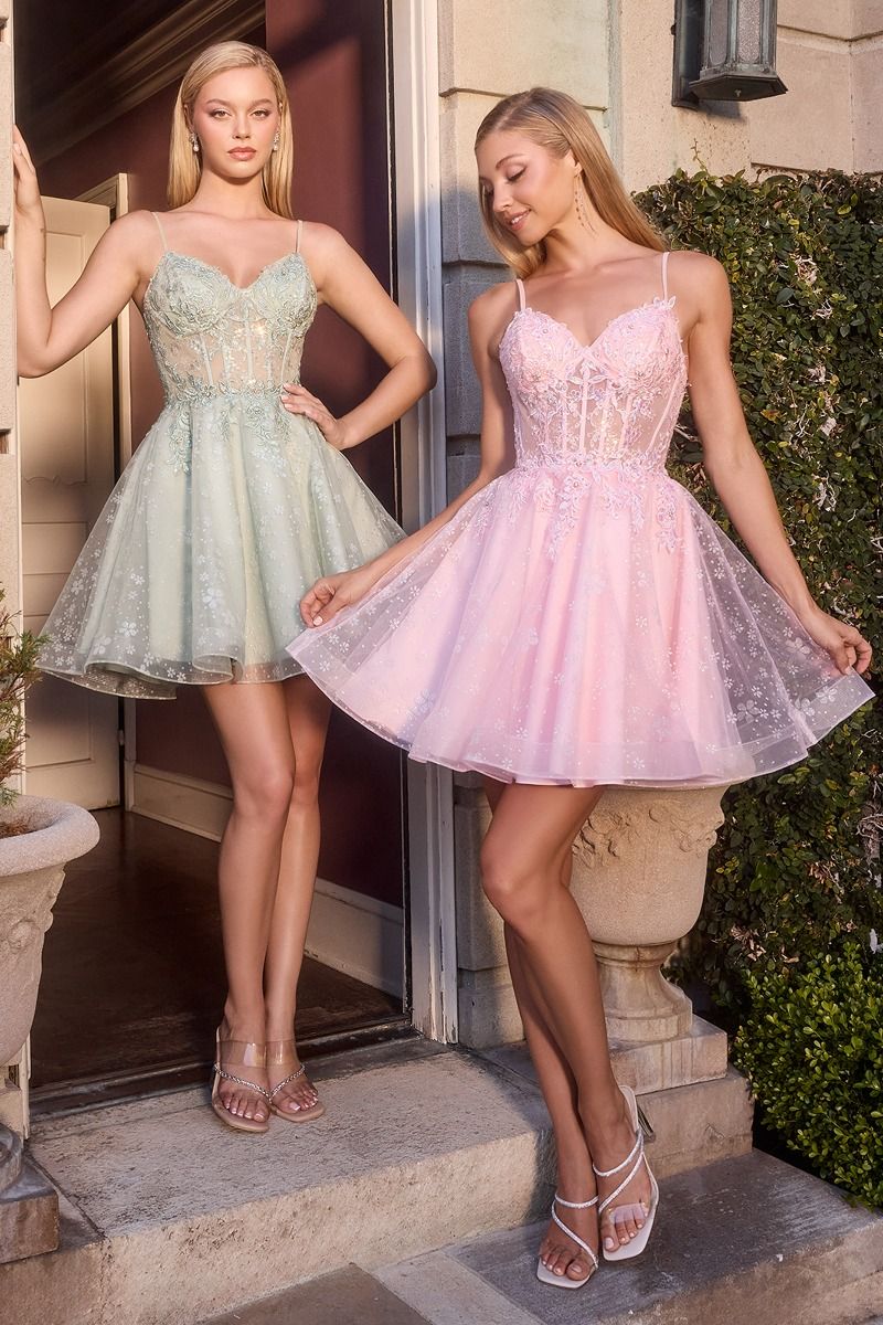Floral Embroidered Tulle A-Line Mini Dress with Sheer Corset Bodice-1
