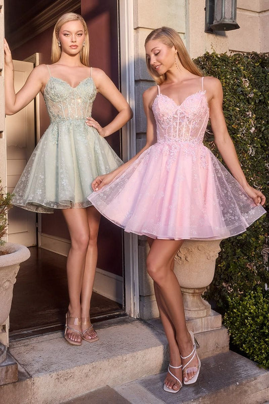 Floral Embroidered Tulle A-Line Mini Dress with Sheer Corset Bodice