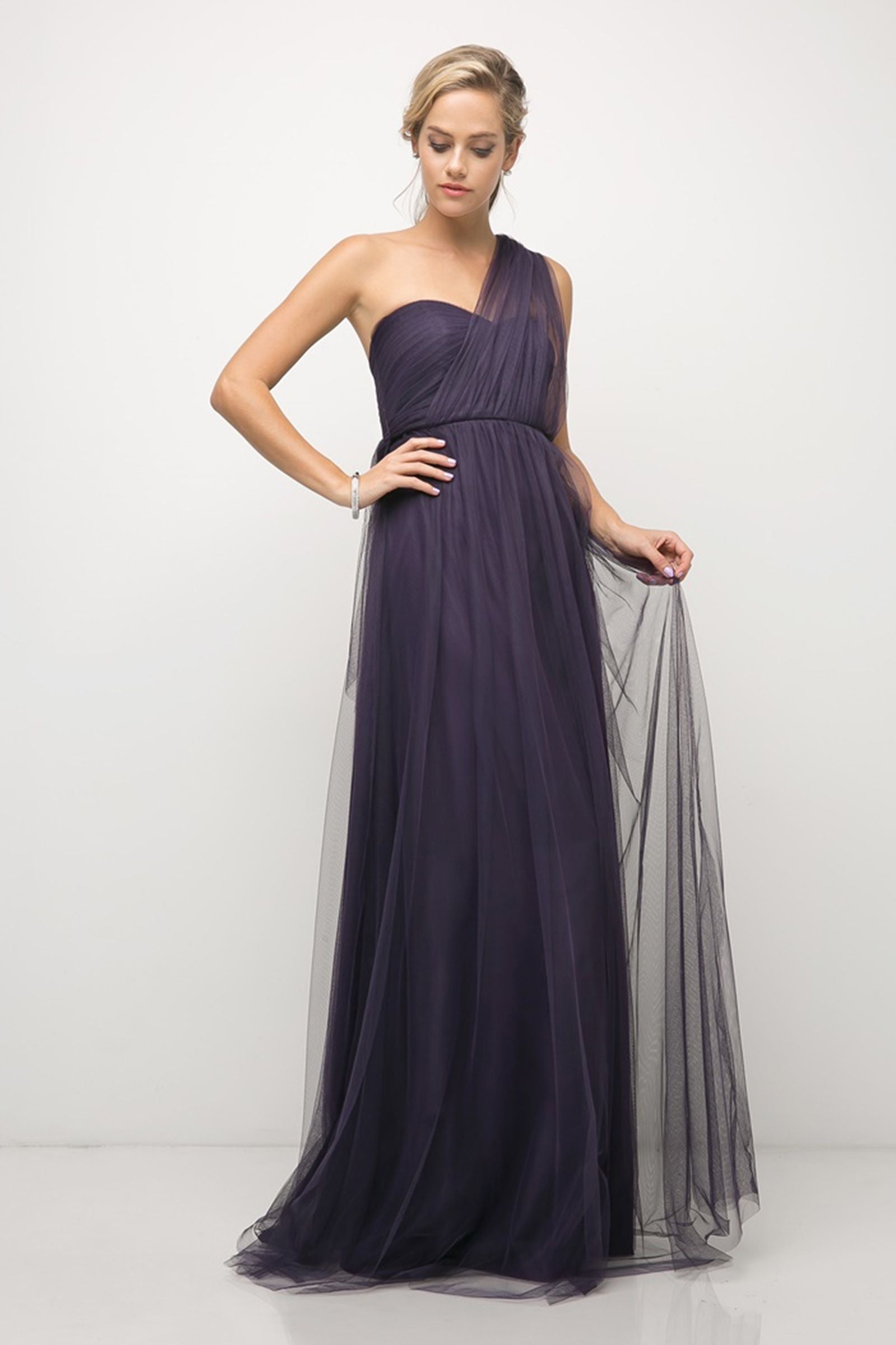 Versatile A-line Tulle Dress-2