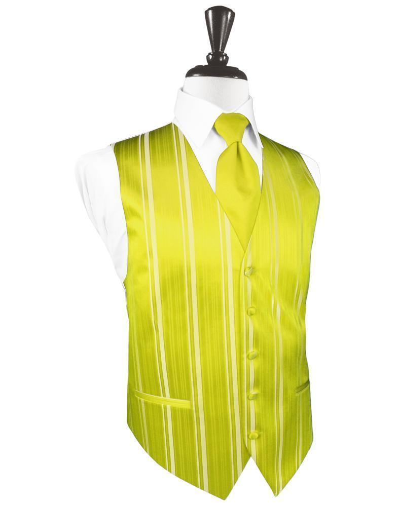 Striped Satin Tuxedo Vest 3-2